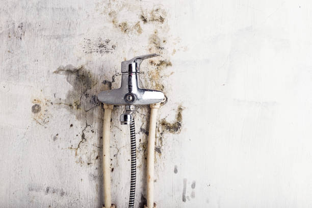 Phoenixville, PA Mold Removal Company