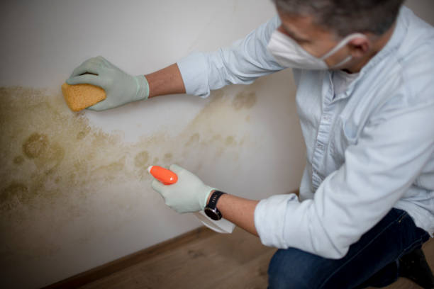 Crawl Space Mold Removal in Phoenixville, PA